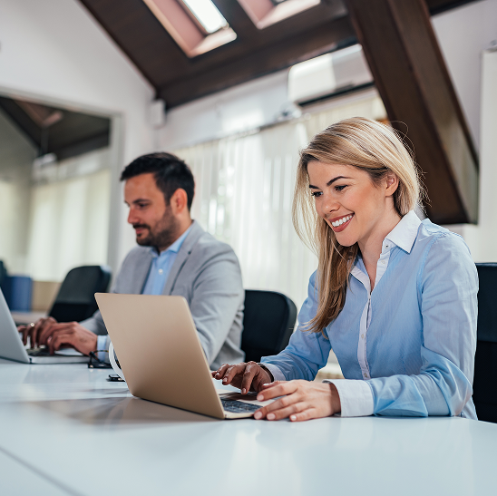 Trabalhando com Bravo E.R.P